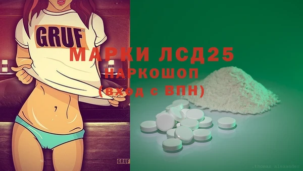 ГАЛЛЮЦИНОГЕННЫЕ ГРИБЫ Вязники