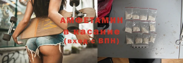 прущие грибы Струнино