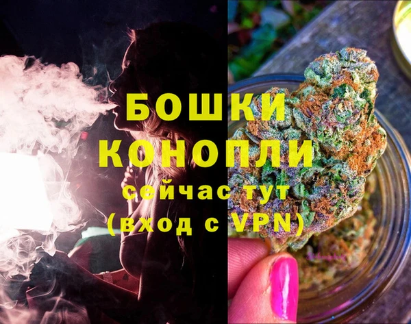 ГАЛЛЮЦИНОГЕННЫЕ ГРИБЫ Вязники