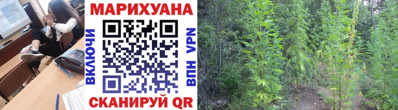 Каннабис VHQ  сколько стоит  Заозёрный 